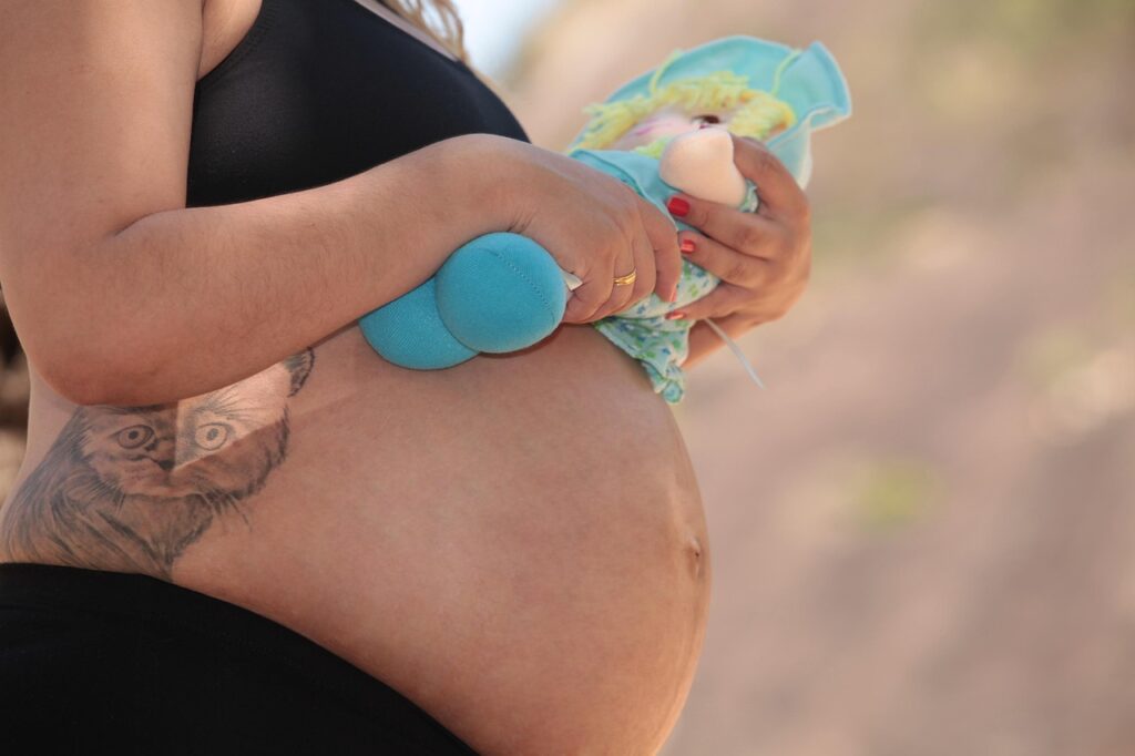 pregnant, mom, gravide, pregnancy, pregnant woman, gestation, pregnant essay, maternity, pregnant book, mother-to-be, big belly, baby